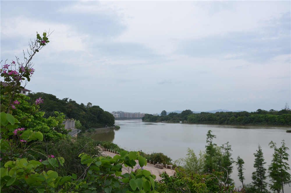國務(wù)院：聚焦企業(yè)關(guān)切，進(jìn)一步推動(dòng)優(yōu)化營商環(huán)境政策落實(shí)